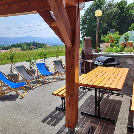 Apartments Jernej With Onsite Wellness Brežice 외부 사진
